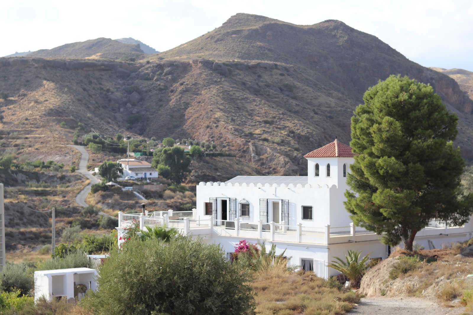 Casa Torreta Blanca - House & Fir Tree