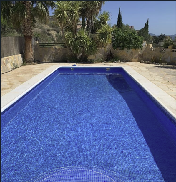 Casa Torreta Blanca Swimming Pool and palm tree